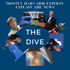 The Dive: Experts from Harvard and Beyond Explain The News