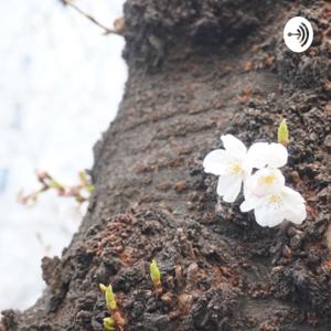 奈津子のお部屋