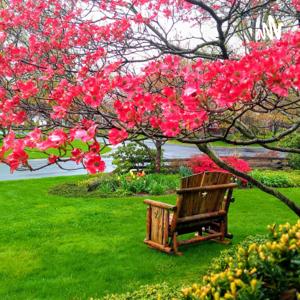 Psalms Readings By Friends