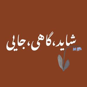 پادکست شاید، گاهی، جایی