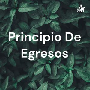 Principio De Egresos