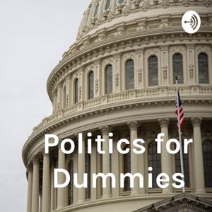 Politics for Dummies by Scott