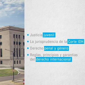 Justicia Juvenil y Derechos Humanos