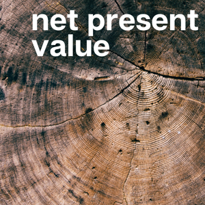 Net Present Value