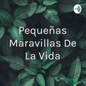 Pequeñas Maravillas De La Vida