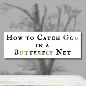 How to Catch God in a Butterfly Net