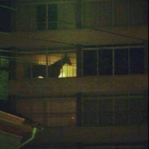 Fckhorse Hotel