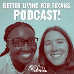 Better Living for Texans