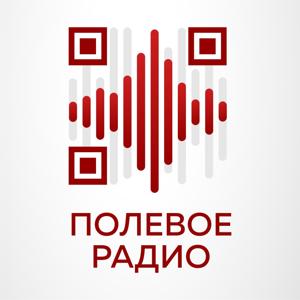 Полевое радио