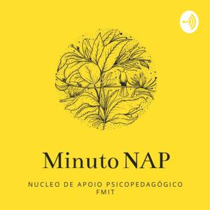 NAP FMIt