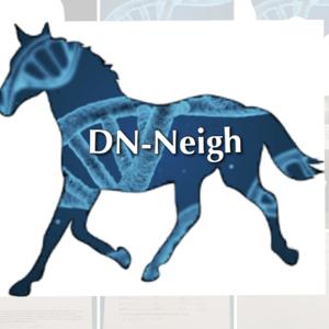 DN-Neigh