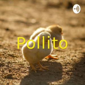 Pollito