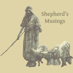 Shepherd's Musings