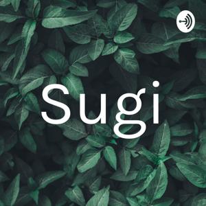 Sugi