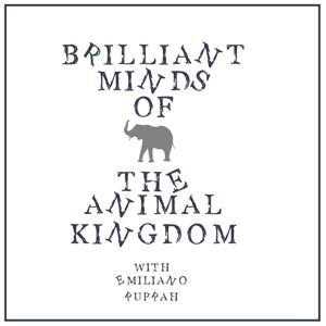 Brilliant Minds of the Animal Kingdom