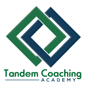 Introduction To Systems Coaching