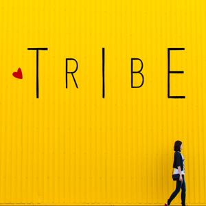 TRIBE