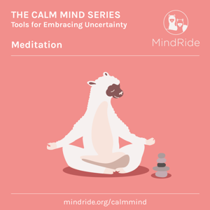 The Calm Mind Series: Tools for Embracing Uncertainty: Meditation