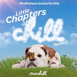 Little Chapters of Chill