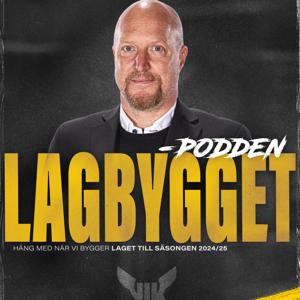 Hockeypodden på VIK.se