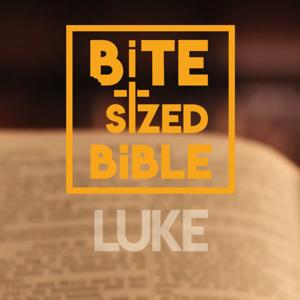 Bite-Sized Bible - Luke by Saved Like Me