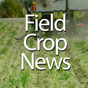 Field Crop News