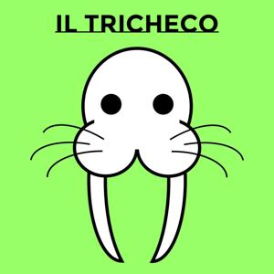 Il Tricheco