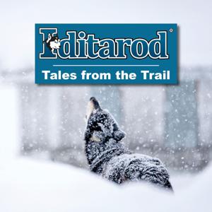 The Iditarod Tales from the Trail