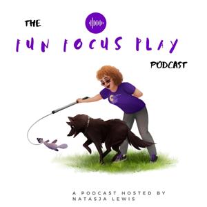 The Fun | Focus | Play Podcast