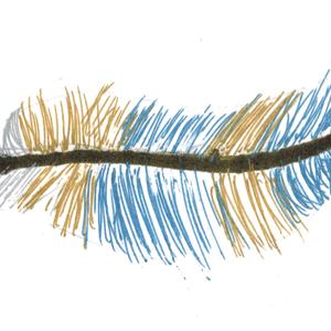 Bantam Audiobooks Podcast