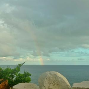 Reflexionando En La Palabra de Dios