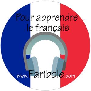 Pour apprendre le français by Marie-Ange