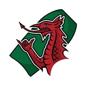 Welsh Bodyboard Club