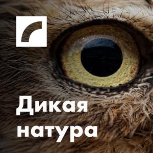 Дикая натура