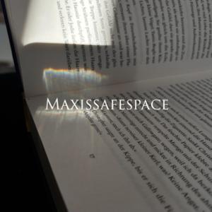 Maxissafespace