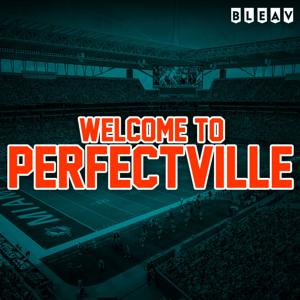 Perfectville - Miami Dolphins by Welcome To Perfectville