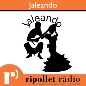 Jaleando by Jaleando