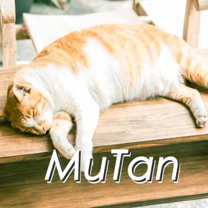 木炭MuTan