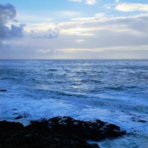 My Life With C-PTSD