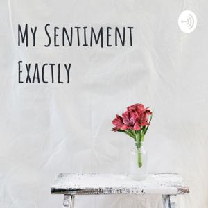 My Sentiment Exactly