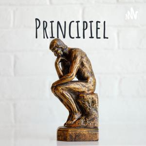 Principiel