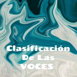 Clasificación De Las VOCES