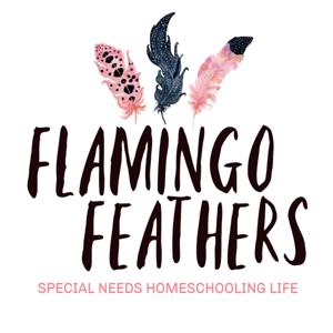 Flamingo Feathers