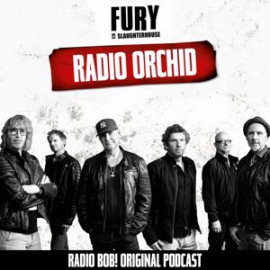 Radio Orchid – der Fury in the Slaughterhouse Podcast bei RADIO BOB! by RADIO BOB! & Fury in the Slaughterhouse