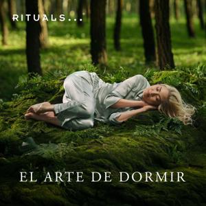 El Arte de Dormir