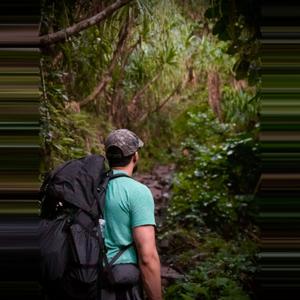 The thewalkthrougheverything's Podcast