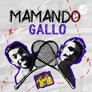 Mamando Gallo