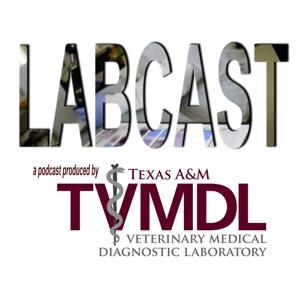 LABCAST Archives - Texas A&M Veterinary Medical Diagnostic Laboratory