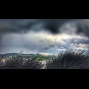 SoundScapes Paisajes Sonoros para relajarte, meditar, dormir o soñar... 100% Galicia Natural