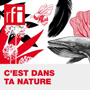 C'est dans ta nature by RFI